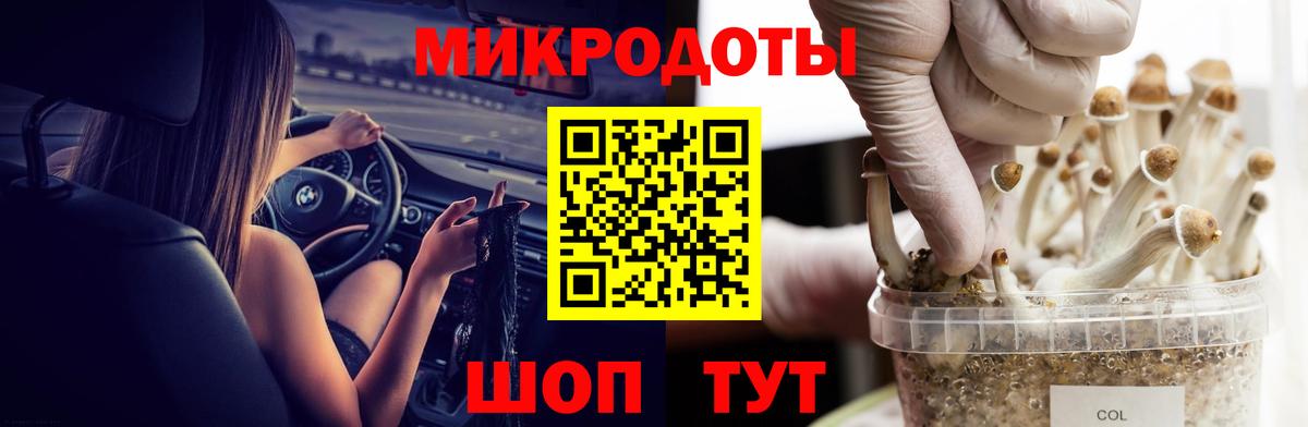Междуреченск  Псилоцибиновые грибы прущие грибы  Вход с VPN 